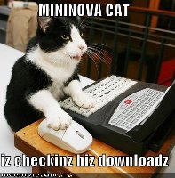 mininovacat.jpg