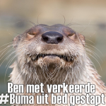 buma-been buma-been