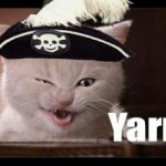 piratekitty