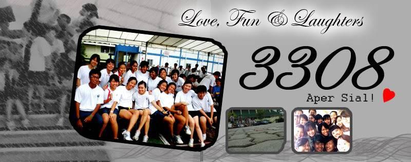 Afbeeldingsresultaat voor 3308