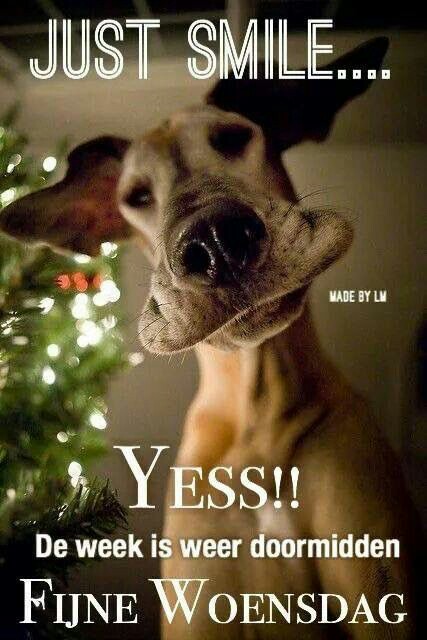 Afbeeldingsresultaat voor woensdag week doormidden