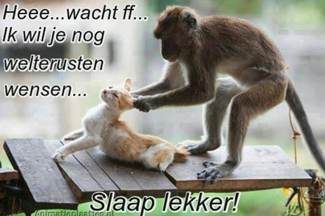 58fa71b0a7d6f-Schermafbeelding_2017-04-2