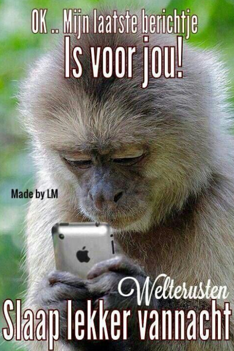 59248de9d655e-Schermafbeelding_2017-05-2