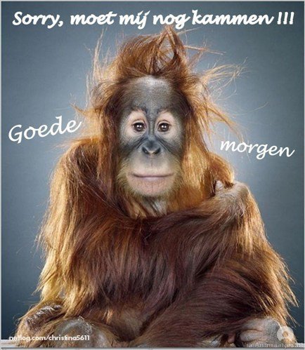 5961ca33e473f-animaatjes-goede-morgen-90