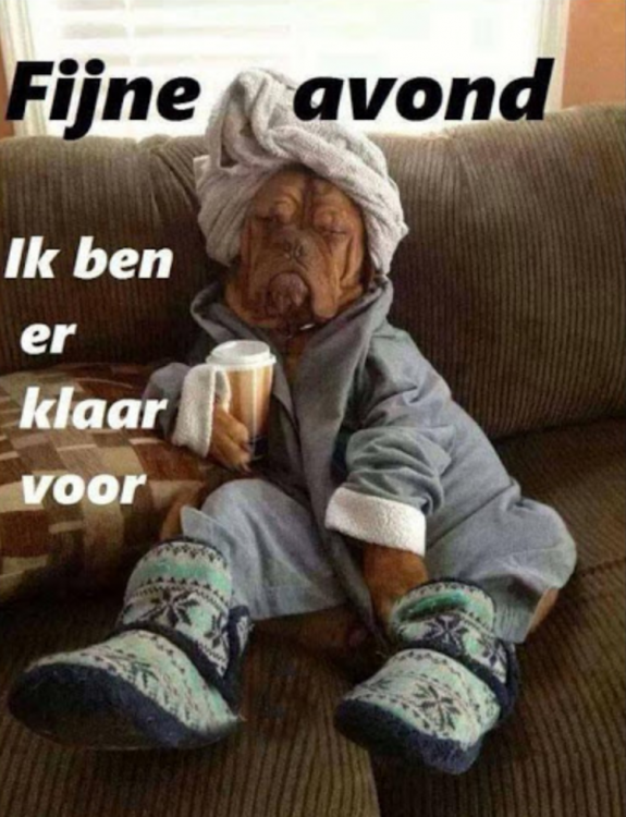 5ed15f8f9f5d7-Schermafbeelding_2020-05-2