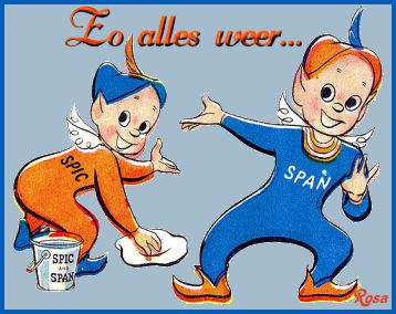 Afbeeldingsresultaat voor spic en span