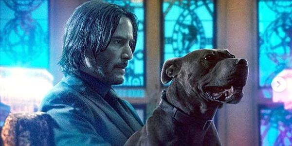 Afbeeldingsresultaat voor JOHN WICK 3: PARABELLUM