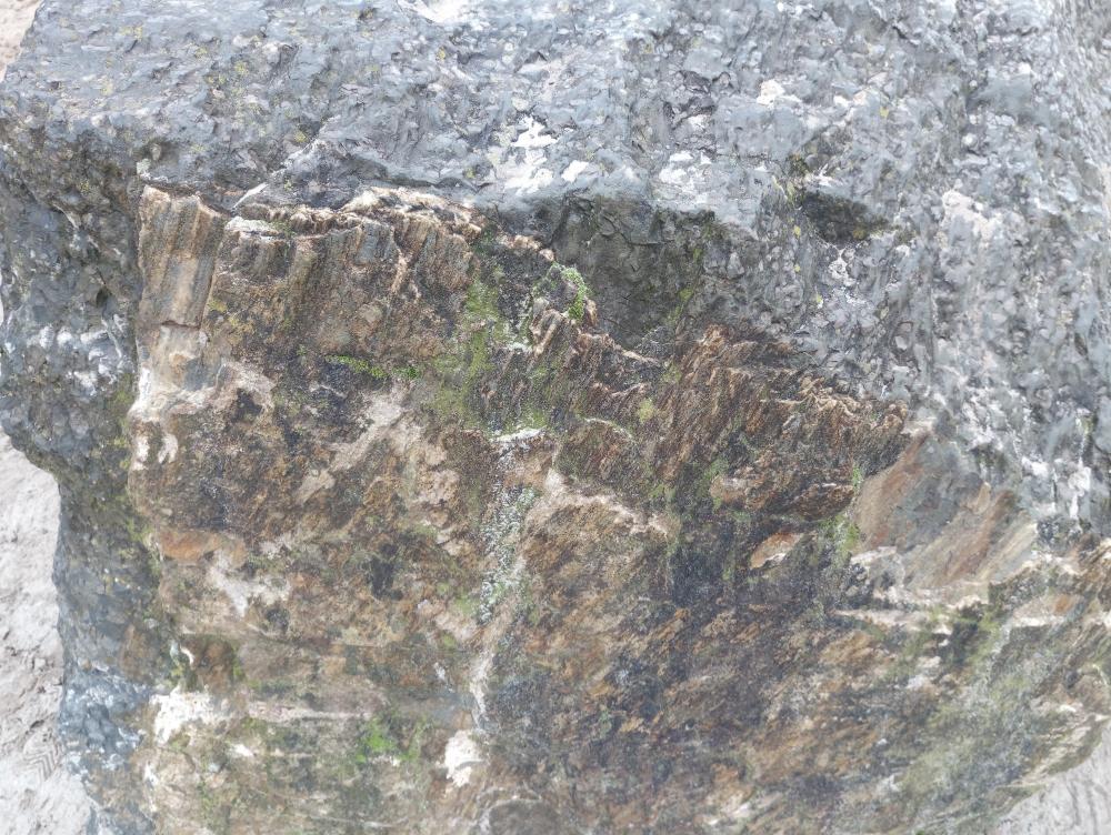 elephone s8 -2  (3).jpg