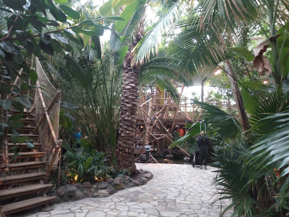 elephone s8 -2  (6).jpg