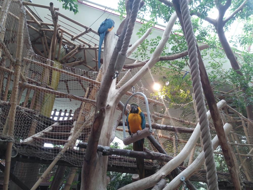 elephone s8 -2  (7).jpg