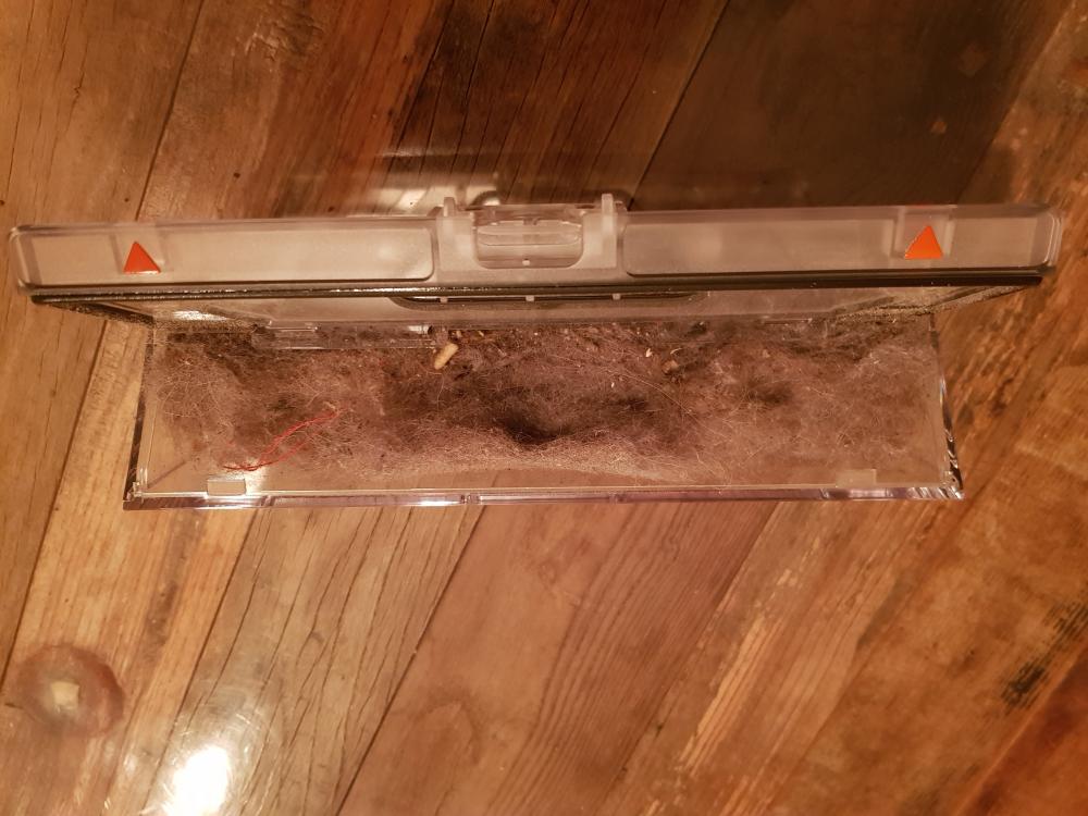 20180329_223023 - Copy.jpg