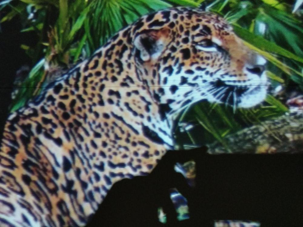  Alfawise 3200 Duken IMG_20180616_141741.jpg