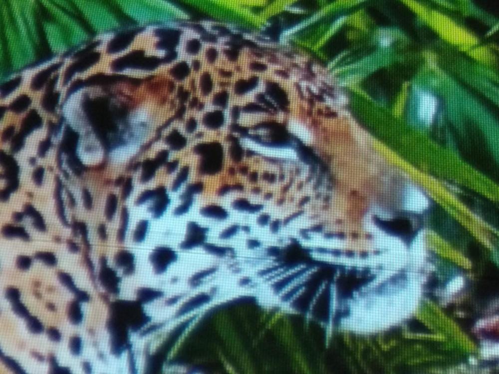  Alfawise 3200 Duken IMG_20180616_141733.jpg