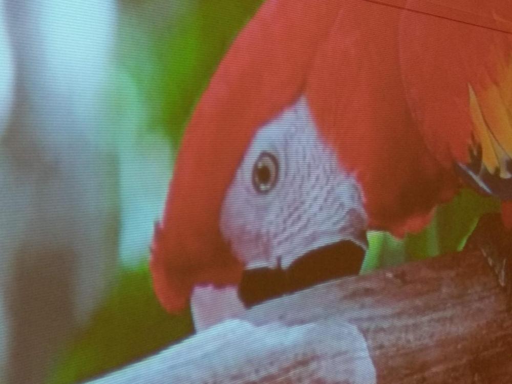  Alfawise 3200 Duken IMG_20180616_141428.jpg