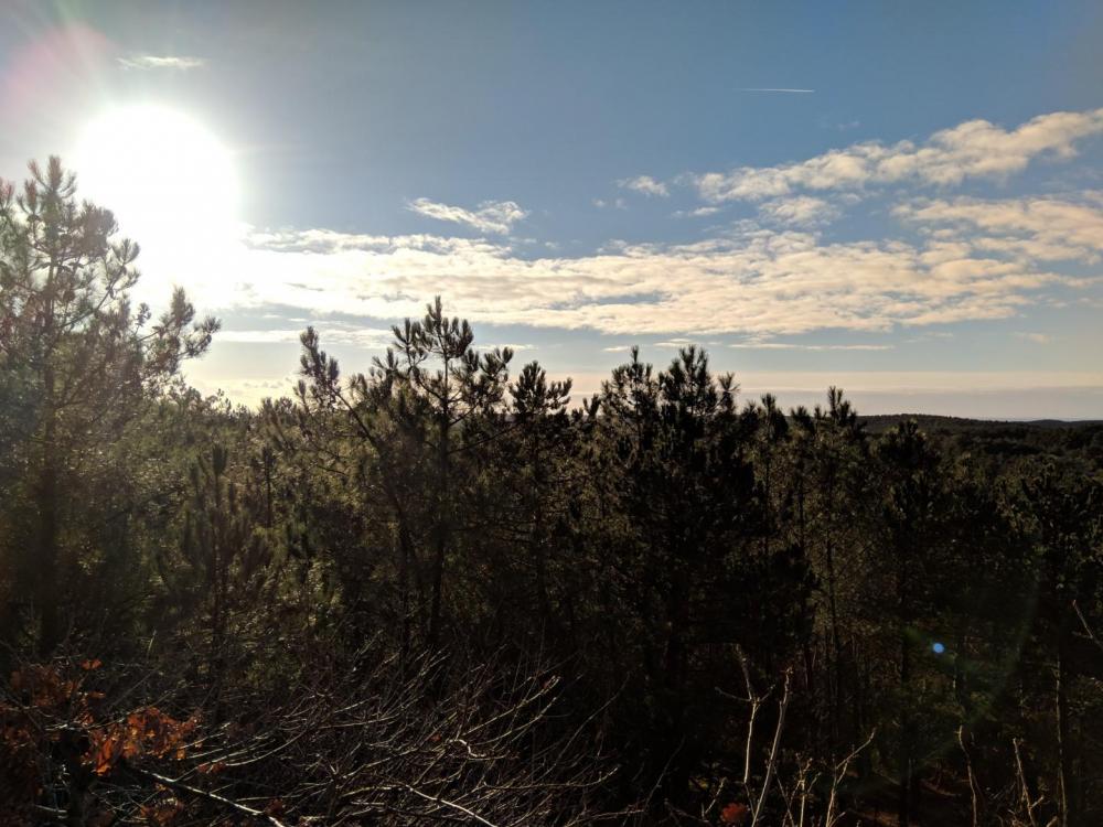 Nokia X6 Duken MVIMG_20181224_125837.jpg