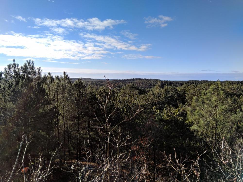 Nokia X6 Duken MVIMG_20181224_125834.jpg