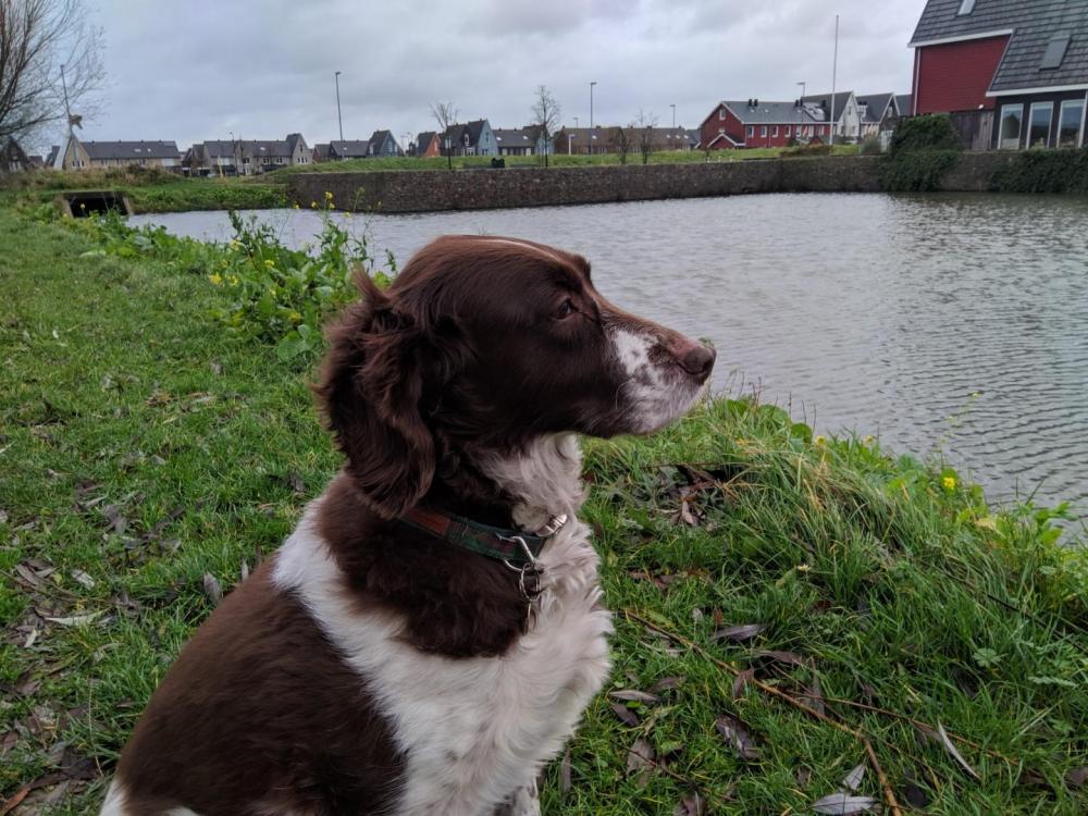 Nokia X6 Duken MVIMG_20181222_103303.jpg