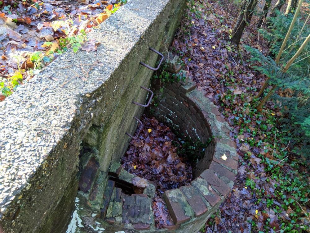 Nokia X6 Duken MVIMG_20181224_125224.jpg