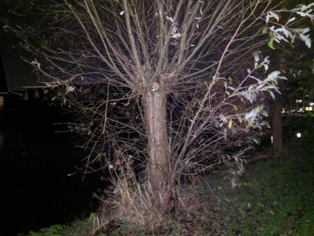 Nokia X6 Duken IMG_20181219_215007.jpg