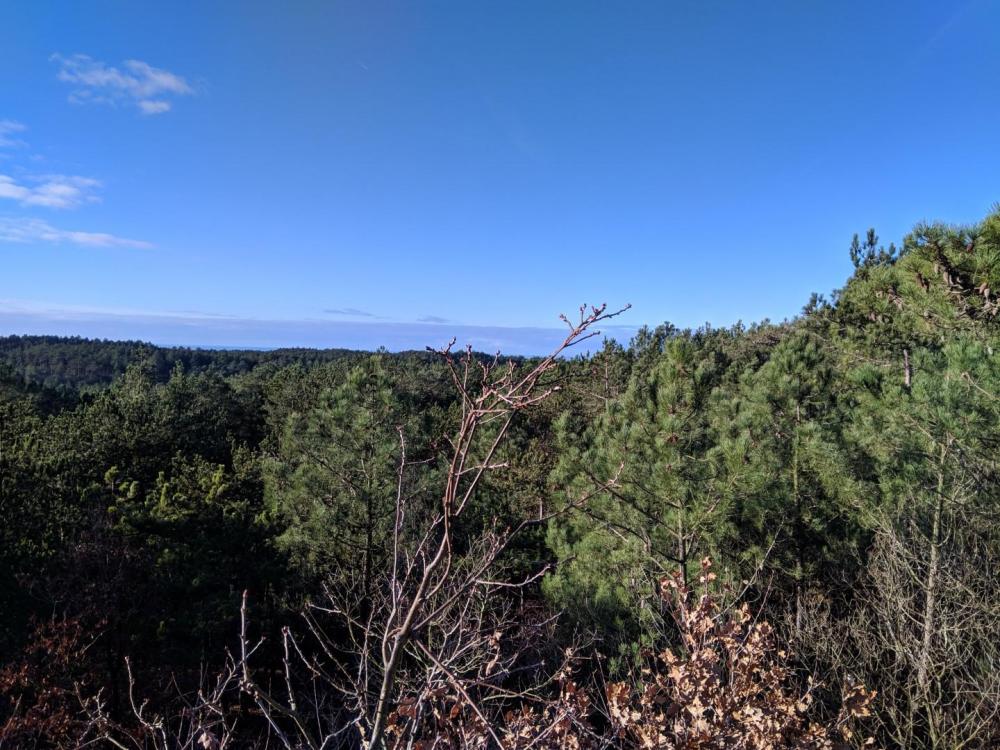 Nokia X6 Duken MVIMG_20181224_125842.jpg