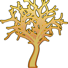 Eroma