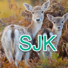 SJK