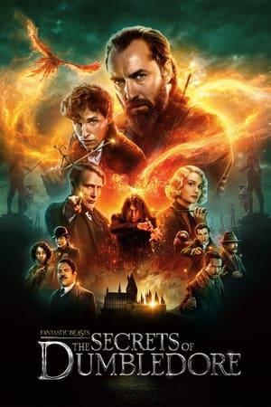 https://www.duken.nl/forums/movies/movie/616-fantastic-beasts-the-secrets-of-dumbledore/