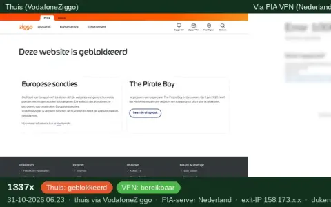Screenshot van 1337x (vervaagd) bij de test van 31 oktober 2026