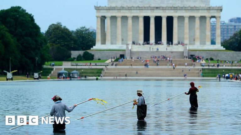 Wat is er gebeurd met Davey Hearn en de vandalisatie van het Washington Reflecting Pool?
